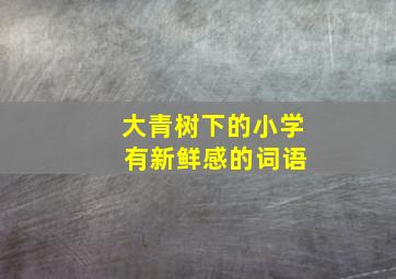 大青树下的小学 有新鲜感的词语